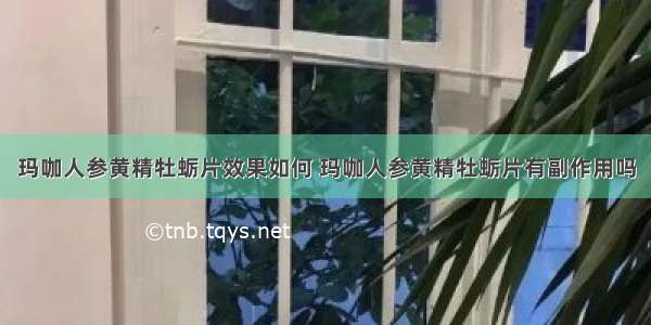 玛咖人参黄精牡蛎片效果如何 玛咖人参黄精牡蛎片有副作用吗