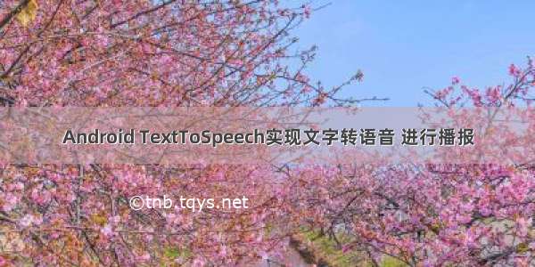 Android TextToSpeech实现文字转语音 进行播报