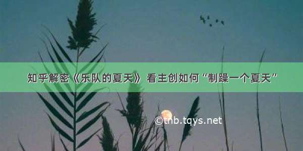 知乎解密《乐队的夏天》 看主创如何“制躁一个夏天”