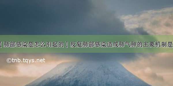 【肺部感染是怎么引起的】反复肺部感染造成肺气肿的主要机制是()