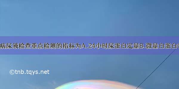 早期糖尿病肾病尿液检查重点检测的指标为A.24小时尿蛋白定量B.微量白蛋白C.红细胞D.尿