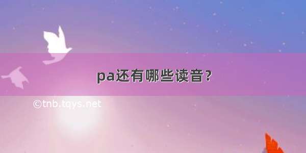 pa还有哪些读音？