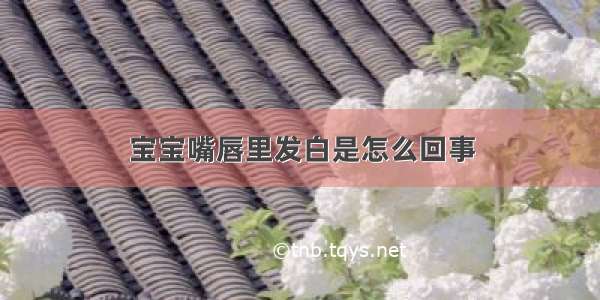 宝宝嘴唇里发白是怎么回事