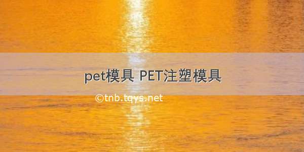 pet模具 PET注塑模具