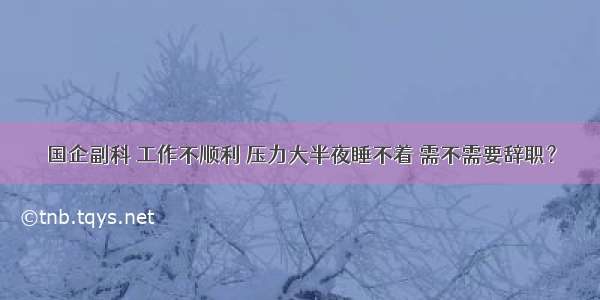 国企副科 工作不顺利 压力大半夜睡不着 需不需要辞职？