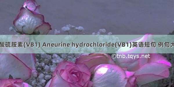盐酸硫胺素(VB1) Aneurine hydrochloride(VB1)英语短句 例句大全