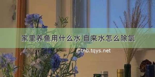 家里养鱼用什么水 自来水怎么除氯