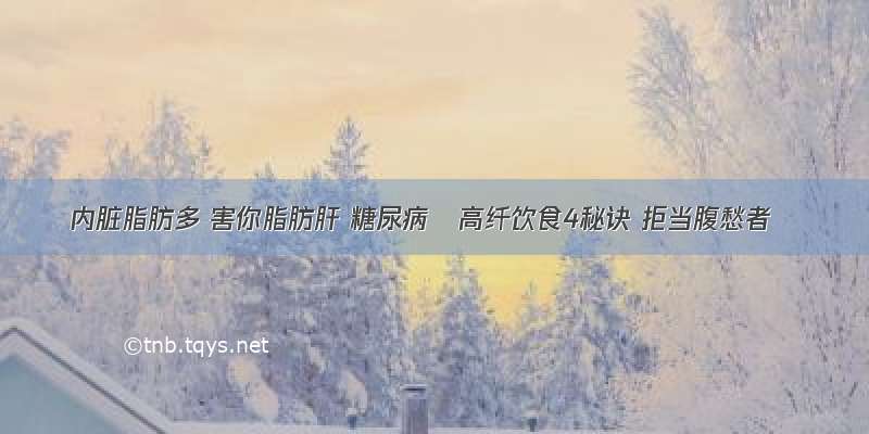 内脏脂肪多 害你脂肪肝 糖尿病〜高纤饮食4秘诀 拒当腹愁者