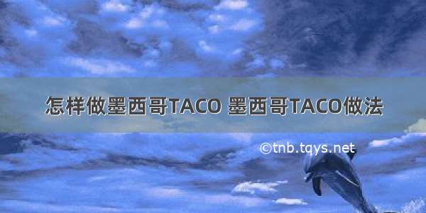 怎样做墨西哥TACO 墨西哥TACO做法