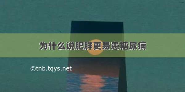 为什么说肥胖更易患糖尿病