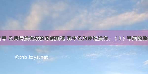 下图是具有甲 乙两种遗传病的家族图谱 其中乙为伴性遗传。（1）甲病的致病基因在染