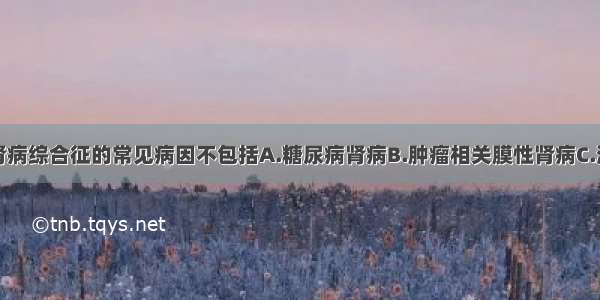 老年人继发肾病综合征的常见病因不包括A.糖尿病肾病B.肿瘤相关膜性肾病C.淀粉样变性病