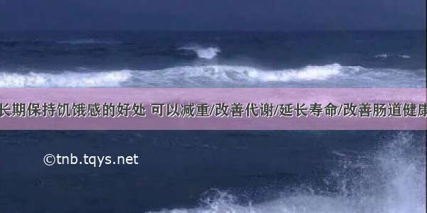 长期保持饥饿感的好处 可以减重/改善代谢/延长寿命/改善肠道健康