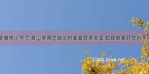 过年猪肉少不了 青山学用它做出的美食营养丰富 软糯鲜香好吃的不得了