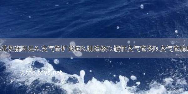 国内咯血的最常见病因是A.支气管扩张症B.肺结核C.慢性支气管炎D.支气管肺癌E.风湿性心