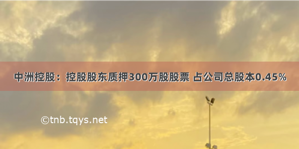 中洲控股：控股股东质押300万股股票 占公司总股本0.45%