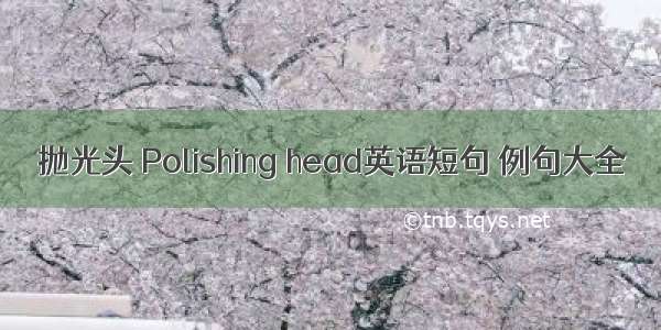 抛光头 Polishing head英语短句 例句大全