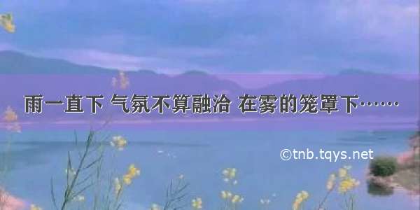 雨一直下 气氛不算融洽 在雾的笼罩下……