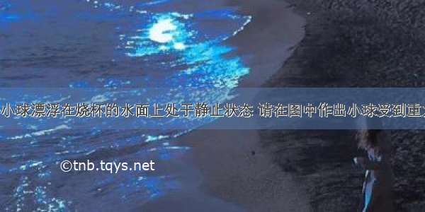 如图所示 一小球漂浮在烧杯的水面上处于静止状态 请在图中作出小球受到重力的示意图．