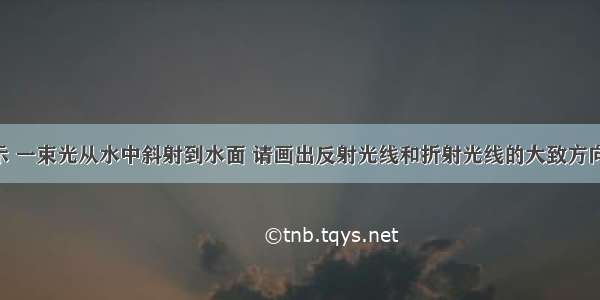 ①如图所示 一束光从水中斜射到水面 请画出反射光线和折射光线的大致方向．②如图 