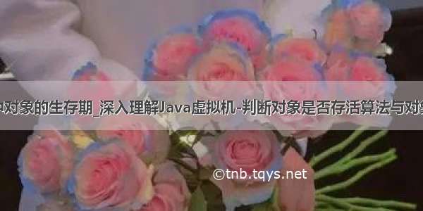 java中对象的生存期_深入理解Java虚拟机-判断对象是否存活算法与对象引用