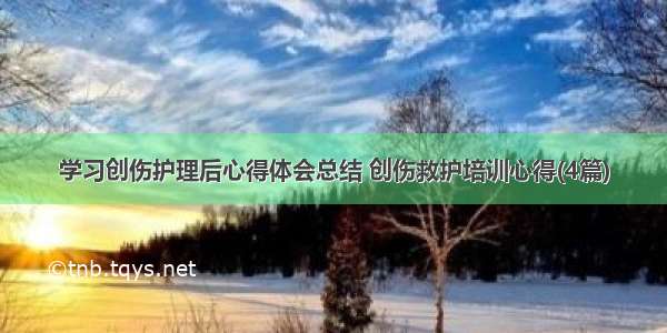 学习创伤护理后心得体会总结 创伤救护培训心得(4篇)