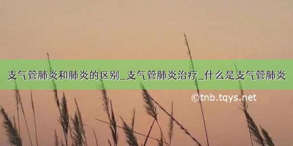 支气管肺炎和肺炎的区别_支气管肺炎治疗_什么是支气管肺炎