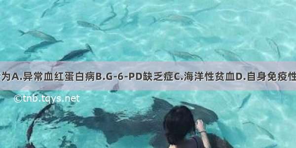 该患者应诊断为A.异常血红蛋白病B.G-6-PD缺乏症C.海洋性贫血D.自身免疫性溶血性贫血E.