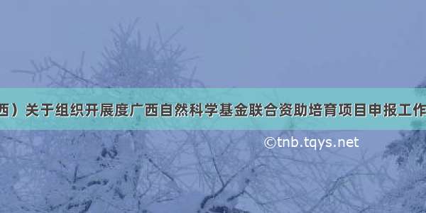 （广西）关于组织开展度广西自然科学基金联合资助培育项目申报工作的通知