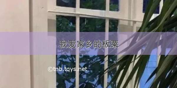 我爱家乡的板粟