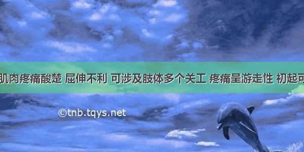 四肢关节肌肉疼痛酸楚 屈伸不利 可涉及肢体多个关工 疼痛呈游走性 初起可有恶风发