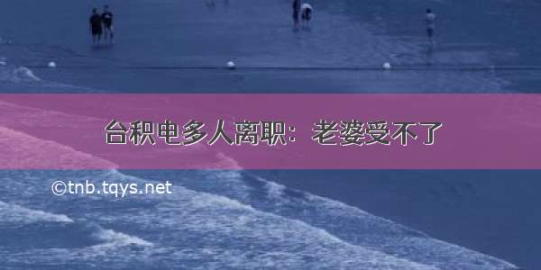 台积电多人离职：老婆受不了