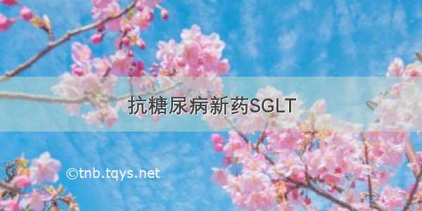 抗糖尿病新药SGLT