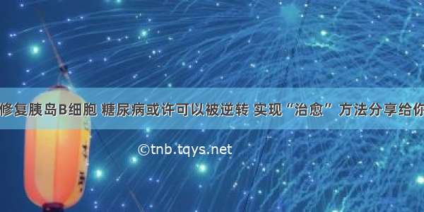 修复胰岛B细胞 糖尿病或许可以被逆转 实现“治愈” 方法分享给你