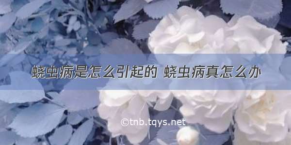 蛲虫病是怎么引起的 蛲虫病真怎么办