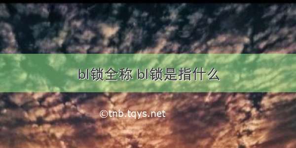 bl锁全称 bl锁是指什么