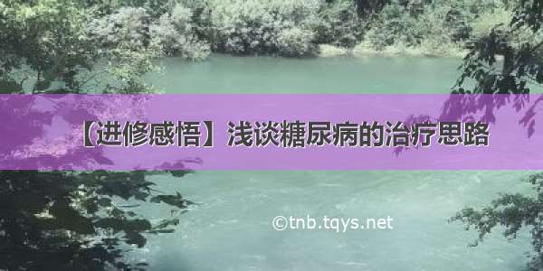 【进修感悟】浅谈糖尿病的治疗思路