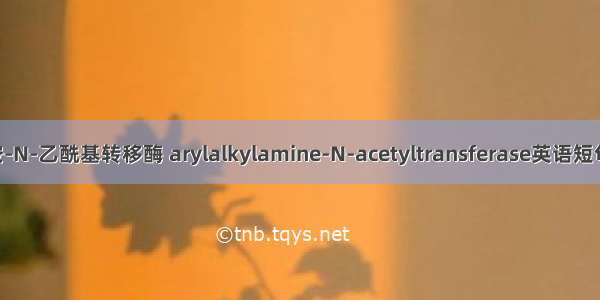 芳香烷基胺-N-乙酰基转移酶 arylalkylamine-N-acetyltransferase英语短句 例句大全