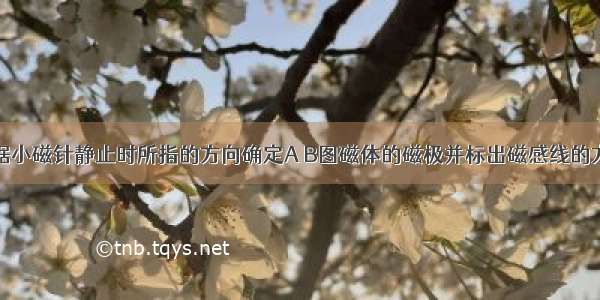 根据小磁针静止时所指的方向确定A B图磁体的磁极并标出磁感线的方向．