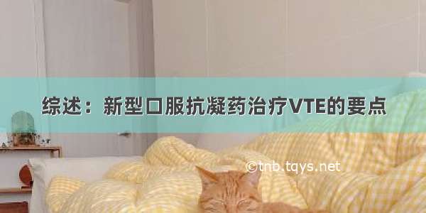 综述：新型口服抗凝药治疗VTE的要点