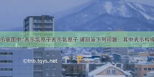 下列分子的示意图中?表示氢原子表示氧原子 请回答下列问题：其中表示构成化合物的分