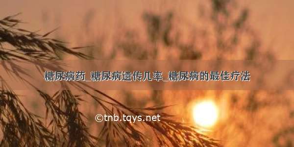 糖尿病药_糖尿病遗传几率_糖尿病的最佳疗法