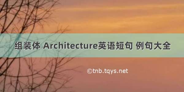 组装体 Architecture英语短句 例句大全