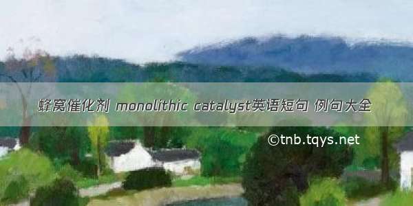 蜂窝催化剂 monolithic catalyst英语短句 例句大全