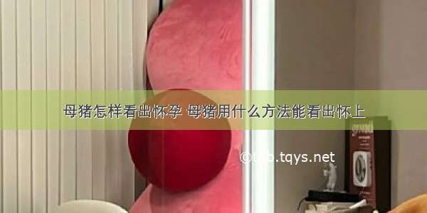 母猪怎样看出怀孕 母猪用什么方法能看出怀上