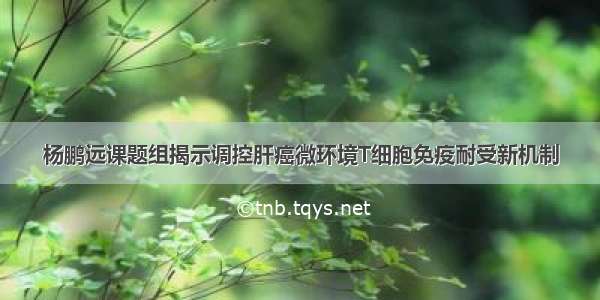 杨鹏远课题组揭示调控肝癌微环境T细胞免疫耐受新机制