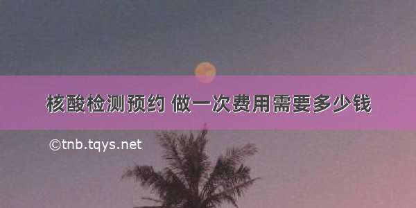 核酸检测预约 做一次费用需要多少钱