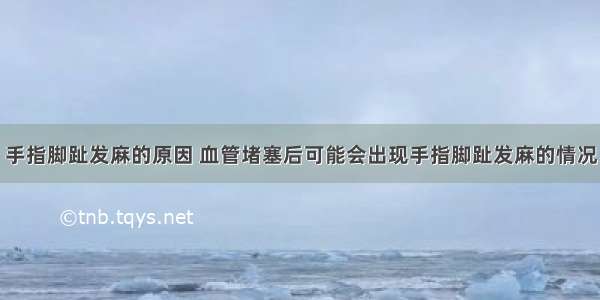 手指脚趾发麻的原因 血管堵塞后可能会出现手指脚趾发麻的情况