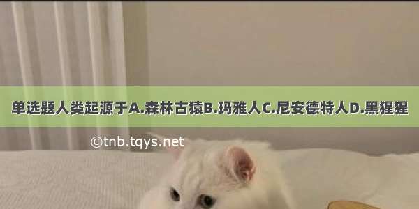 单选题人类起源于A.森林古猿B.玛雅人C.尼安德特人D.黑猩猩