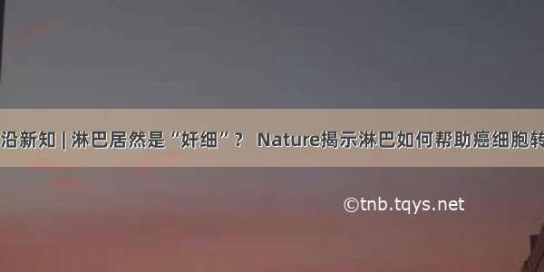 前沿新知 | 淋巴居然是“奸细”？ Nature揭示淋巴如何帮助癌细胞转移